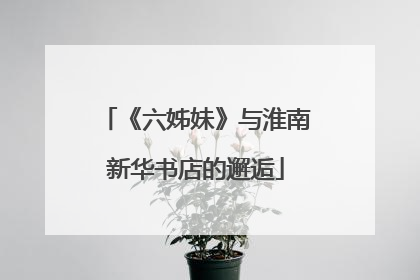 《六姊妹》与淮南新华书店的邂逅