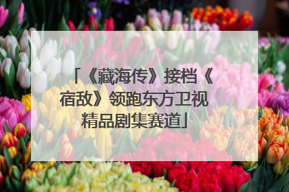 《藏海传》接档《宿敌》领跑东方卫视精品剧集赛道