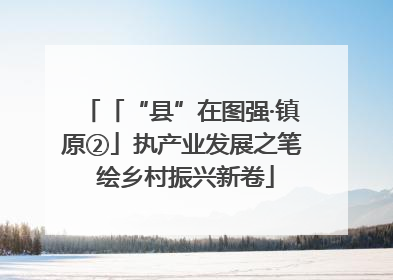 「“县”在图强·镇原②」执产业发展之笔 绘乡村振兴新卷