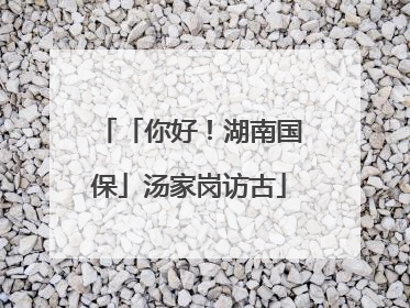 「你好！湖南国保」汤家岗访古