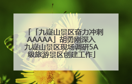 「九嶷山景区奋力冲刺AAAAA」胡勇刚深入九嶷山景区现场调研5A级旅游景区创建工作
