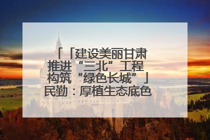 「建设美丽甘肃 推进“三北”工程 构筑“绿色长城”」民勤：厚植生态底色 筑牢绿色屏障