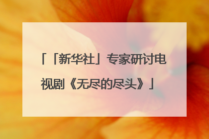 「新华社」专家研讨电视剧《无尽的尽头》