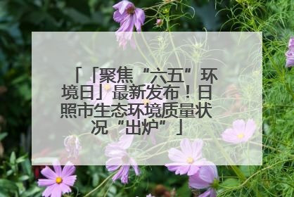 「聚焦“六五”环境日」最新发布！日照市生态环境质量状况“出炉”