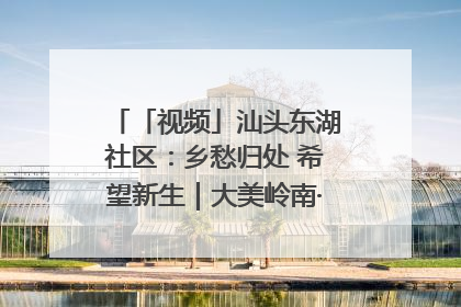 「视频」汕头东湖社区：乡愁归处 希望新生｜大美岭南·百村焕新记
