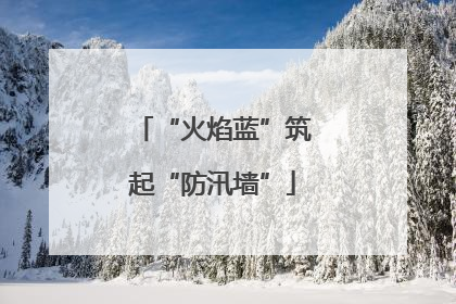 “火焰蓝”筑起“防汛墙”