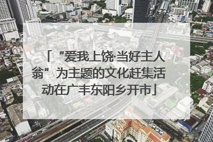 “爱我上饶·当好主人翁”为主题的文化赶集活动在广丰东阳乡开市