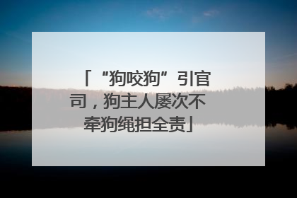 “狗咬狗”引官司，狗主人屡次不牵狗绳担全责