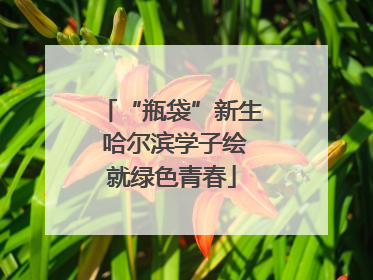 “瓶袋”新生 哈尔滨学子绘就绿色青春