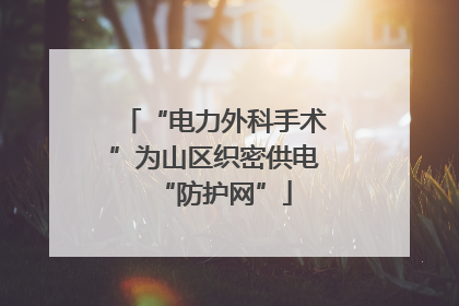“电力外科手术”为山区织密供电“防护网”