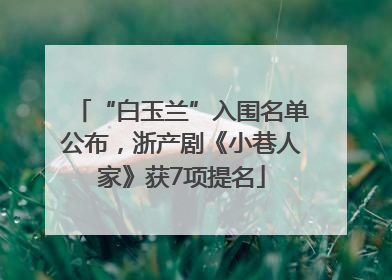 “白玉兰”入围名单公布，浙产剧《小巷人家》获7项提名
