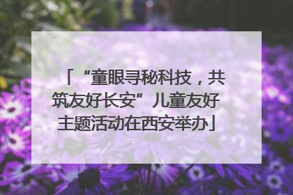 “童眼寻秘科技，共筑友好长安”儿童友好主题活动在西安举办