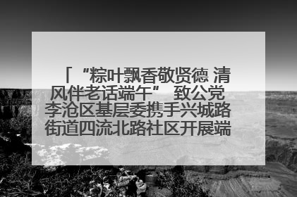 “粽叶飘香敬贤德 清风伴老话端午” 致公党李沧区基层委携手兴城路街道四流北路社区开展端午节主题活动