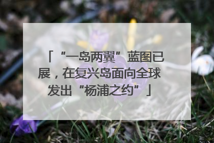 “一岛两翼”蓝图已展，在复兴岛面向全球发出“杨浦之约”