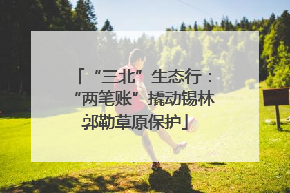 “三北”生态行：“两笔账”撬动锡林郭勒草原保护