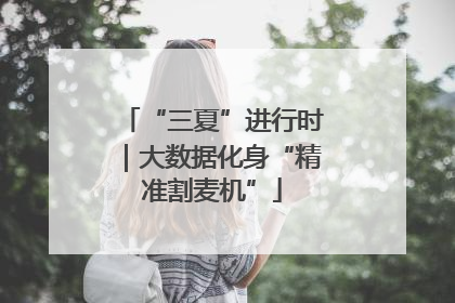 “三夏”进行时｜大数据化身“精准割麦机”
