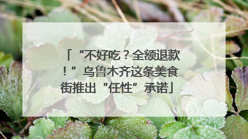 “不好吃？全额退款！”乌鲁木齐这条美食街推出“任性”承诺