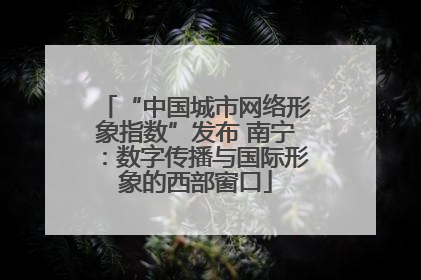“中国城市网络形象指数”发布 南宁：数字传播与国际形象的西部窗口