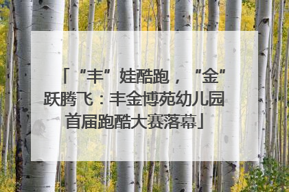 “丰”娃酷跑，“金”跃腾飞：丰金博苑幼儿园首届跑酷大赛落幕