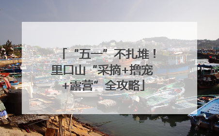 “五一”不扎堆！里口山“采摘+撸宠+露营”全攻略