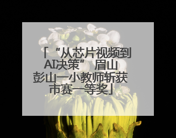 “从芯片视频到AI决策” 眉山彭山一小教师斩获市赛一等奖