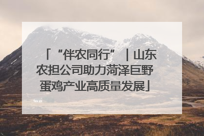 “伴农同行”｜山东农担公司助力菏泽巨野蛋鸡产业高质量发展