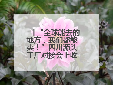“全球能去的地方，我们都能卖！”四川源头工厂对接会上收获海量意向