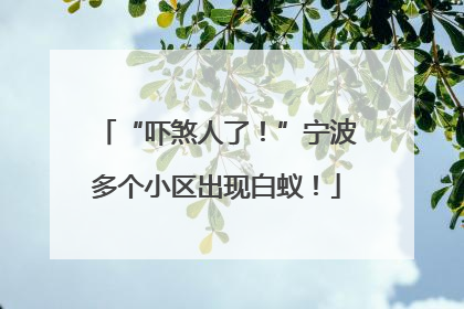 “吓煞人了！”宁波多个小区出现白蚁！