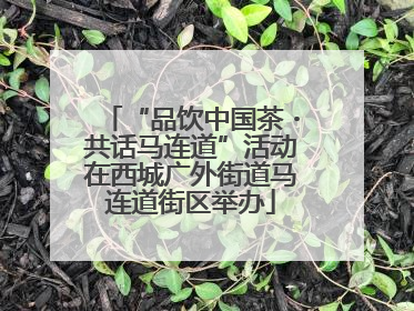 “品饮中国茶・共话马连道”活动在西城广外街道马连道街区举办
