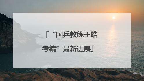 “国乒教练王皓考编”最新进展