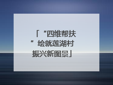 “四维帮扶”绘就莲湖村振兴新图景