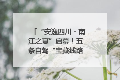 “安逸四川・南江之夏”启幕！五条自驾“宝藏线路”串联避暑胜地