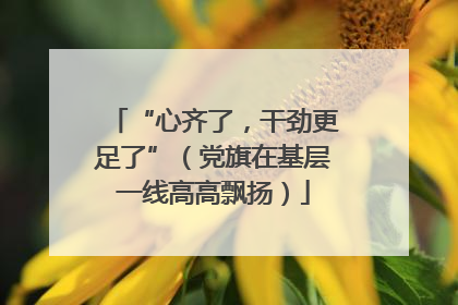 “心齐了，干劲更足了”（党旗在基层一线高高飘扬）