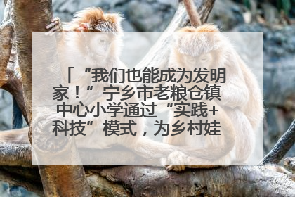 “我们也能成为发明家！”宁乡市老粮仓镇中心小学通过“实践+科技”模式，为乡村娃探索教育新路径