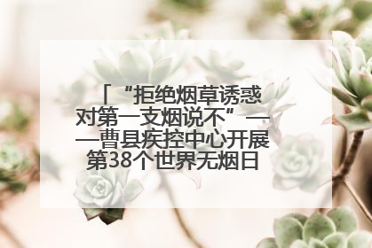 “拒绝烟草诱惑 对第一支烟说不”——曹县疾控中心开展第38个世界无烟日科普宣传活动