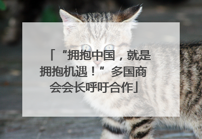 “拥抱中国，就是拥抱机遇！”多国商会会长呼吁合作