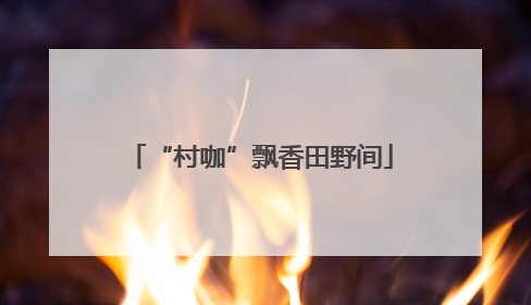“村咖”飘香田野间