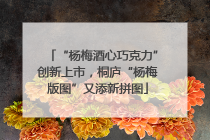 “杨梅酒心巧克力”创新上市，桐庐“杨梅版图”又添新拼图