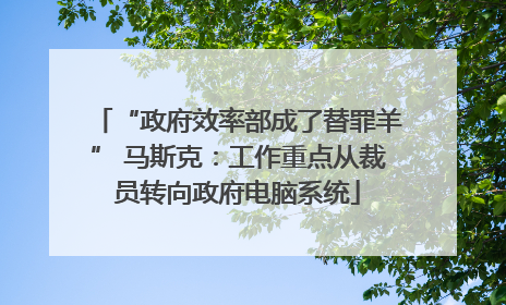 “政府效率部成了替罪羊” 马斯克:工作重点从裁员转向政府电脑系统