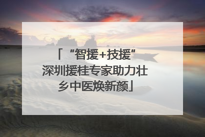 “智援+技援” 深圳援桂专家助力壮乡中医焕新颜