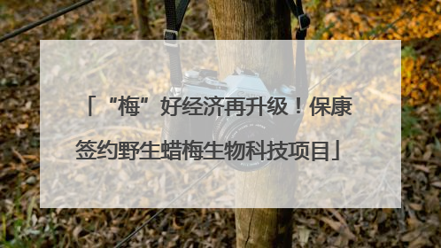 “梅”好经济再升级！保康签约野生蜡梅生物科技项目