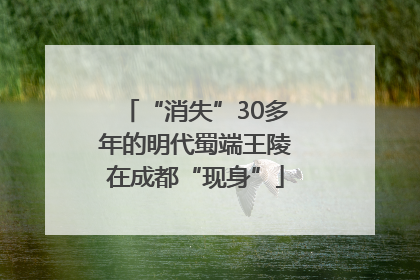 “消失”30多年的明代蜀端王陵在成都“现身”