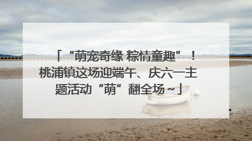 “萌宠奇缘 粽情童趣”！桃浦镇这场迎端午、庆六一主题活动“萌”翻全场～