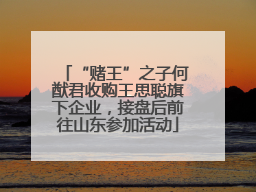 “赌王”之子何猷君收购王思聪旗下企业，接盘后前往山东参加活动