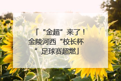 “金超”来了！金陵河西“校长杯”足球赛超燃