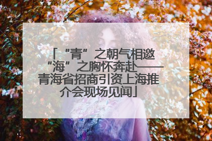 “青”之朝气相邀 “海”之胸怀奔赴——青海省招商引资上海推介会现场见闻