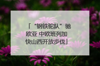 “钢铁驼队”驰欧亚 中欧班列加快山西开放步伐