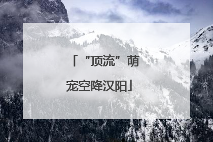 “顶流”萌宠空降汉阳