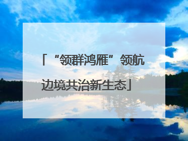 “领群鸿雁”领航边境共治新生态