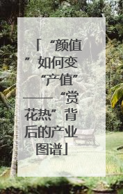 “颜值”如何变“产值”——“赏花热”背后的产业图谱